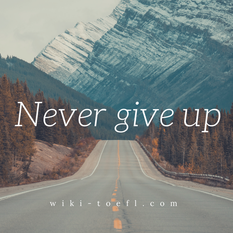 never give up and keep trying for your goals essay