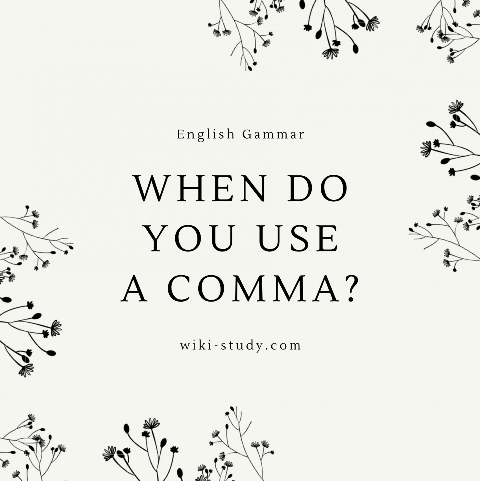 comma-before-which-where-and-who-when-to-use-it-with-examples