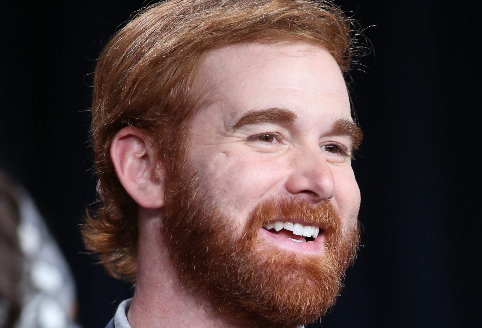 Andrew Santino Net Worth 2024 TV Acres